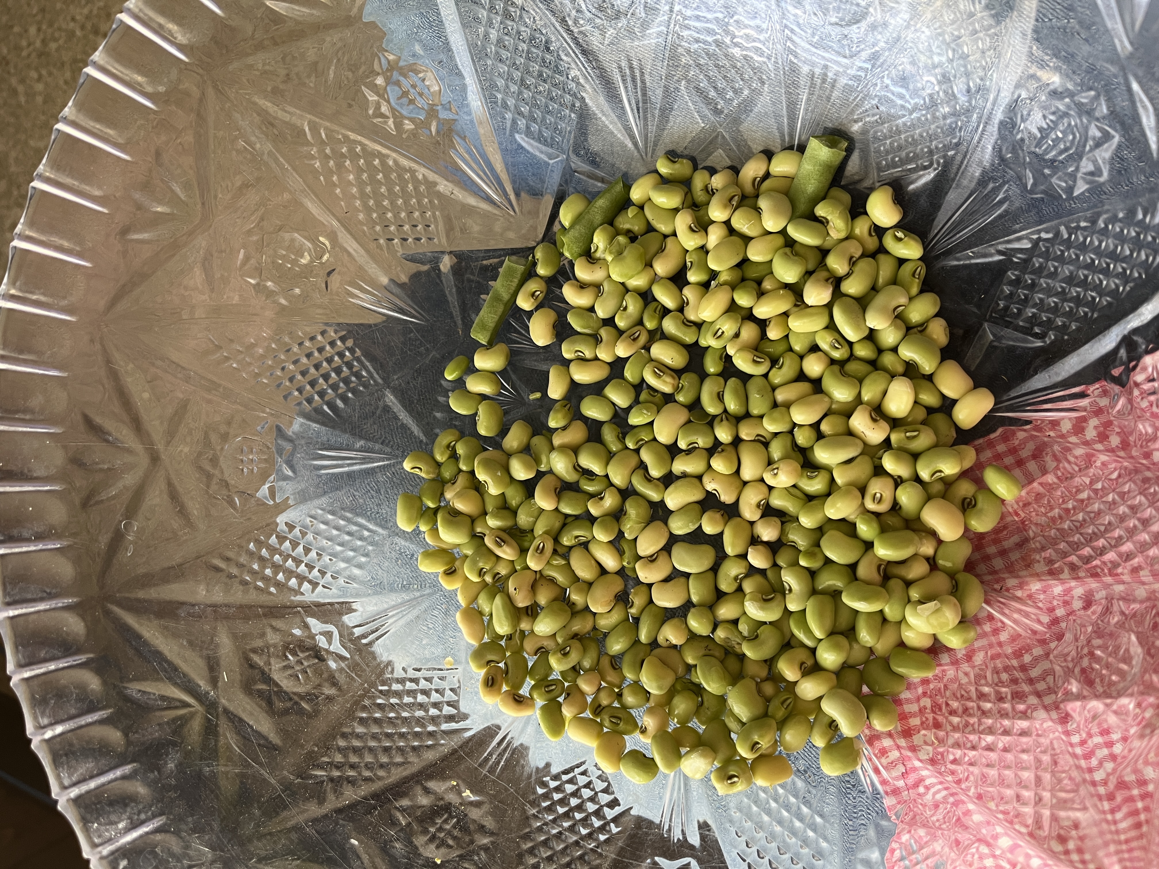 ‘Lagreen’ Southern Pea